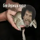 Стикер
