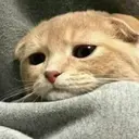 ස්ටිකර්