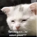 స్టికర్