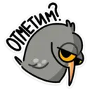 స్టికర్