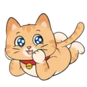 Կպչուն պիտակ