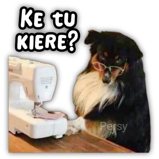 ஸ்டிக்கர்