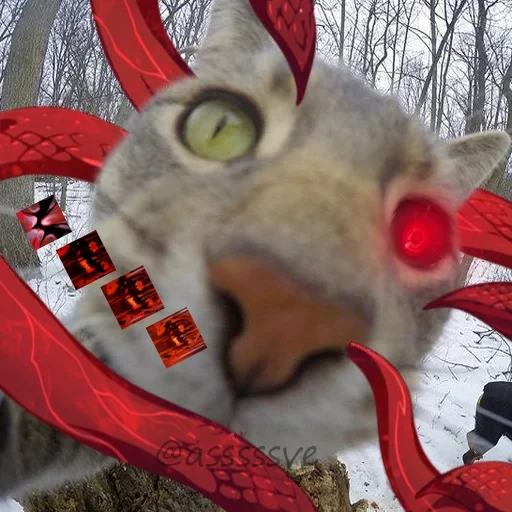 ஸ்டிக்கர்