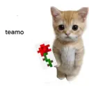 స్టికర్