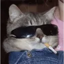 స్టికర్