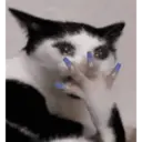 స్టికర్