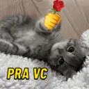 Կպչուն պիտակ