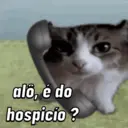 Կպչուն պիտակ