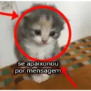 Կպչուն պիտակ