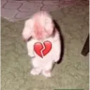 Կպչուն պիտակ