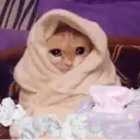 Կպչուն պիտակ