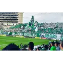 Կպչուն պիտակ