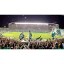 Կպչուն պիտակ