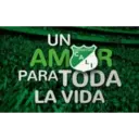 Կպչուն պիտակ