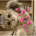 ස්ටිකර්