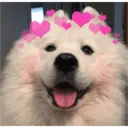 ස්ටිකර්