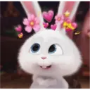 ස්ටිකර්