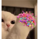 ස්ටිකර්