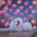 ස්ටිකර්