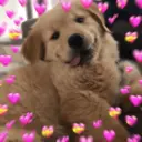 ස්ටිකර්