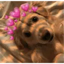 ස්ටිකර්