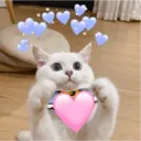 ස්ටිකර්