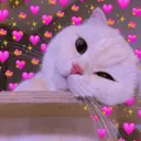 ස්ටිකර්