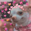 ස්ටිකර්