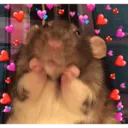 ස්ටිකර්