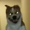 Կպչուն պիտակ