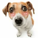 Կպչուն պիտակ