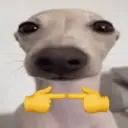 Կպչուն պիտակ