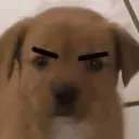 Կպչուն պիտակ