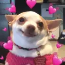 Կպչուն պիտակ