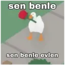 ස්ටිකර්