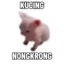 สติกเกอร์