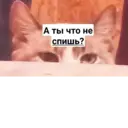 স্টিকার