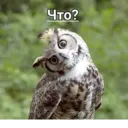 স্টিকার