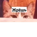 স্টিকার