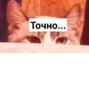 স্টিকার