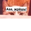 স্টিকার