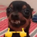 స్టికర్