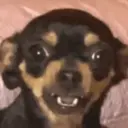 స్టికర్