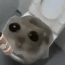 ஸ்டிக்கர்