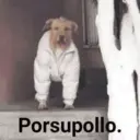 ஸ்டிக்கர்