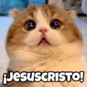 স্টিকার