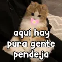 স্টিকার