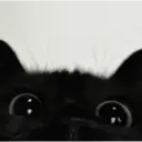 স্টিকার