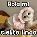 স্টিকার