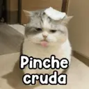 স্টিকার